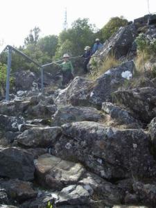 Steep walking track