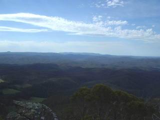 Forest north of Nicholas Range