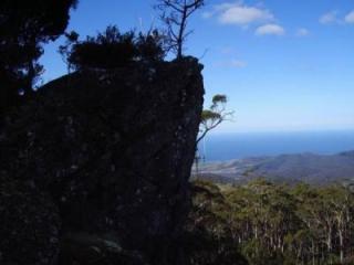 View from the walking track